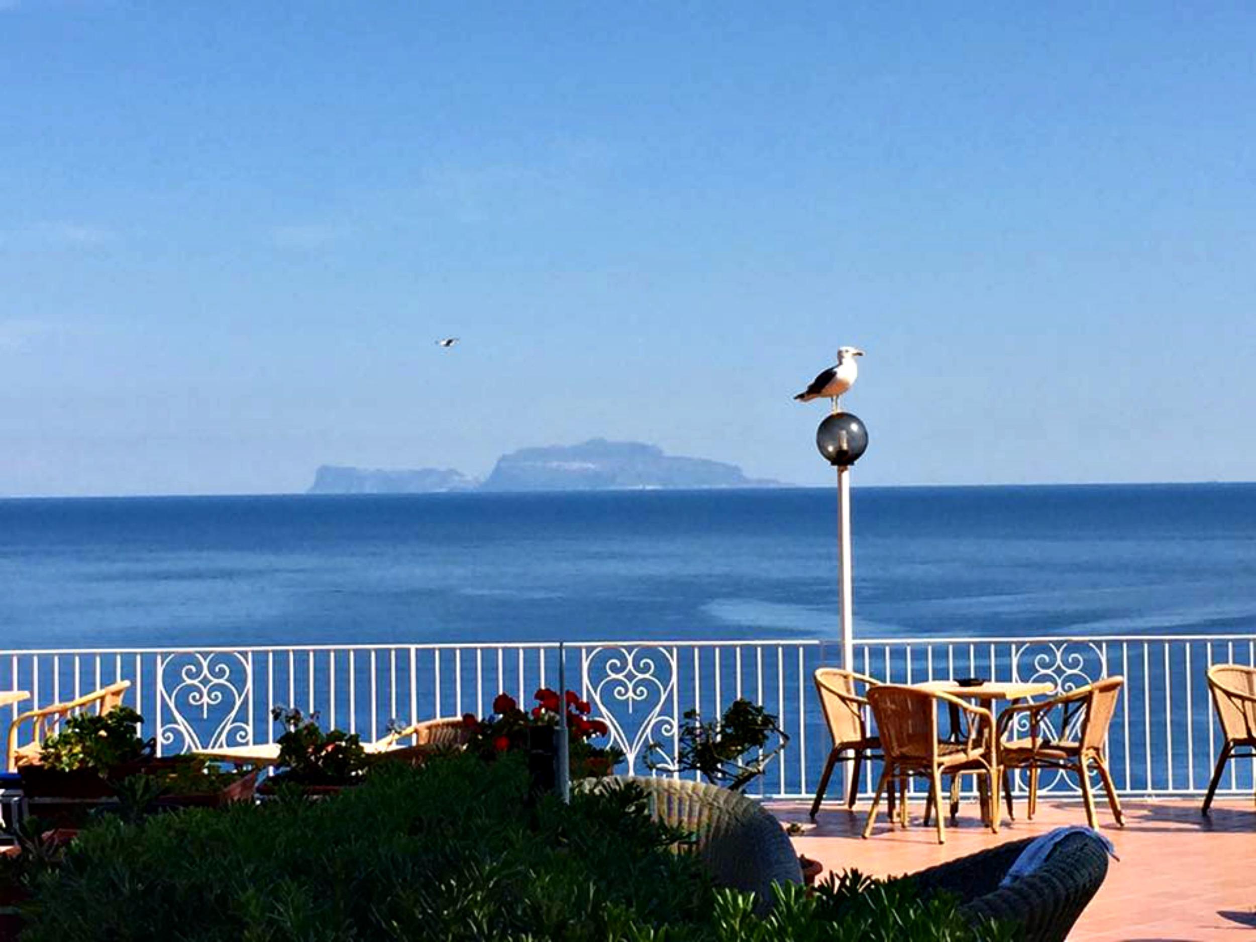 Hotel Don Felipe イスキア島 エクステリア 写真